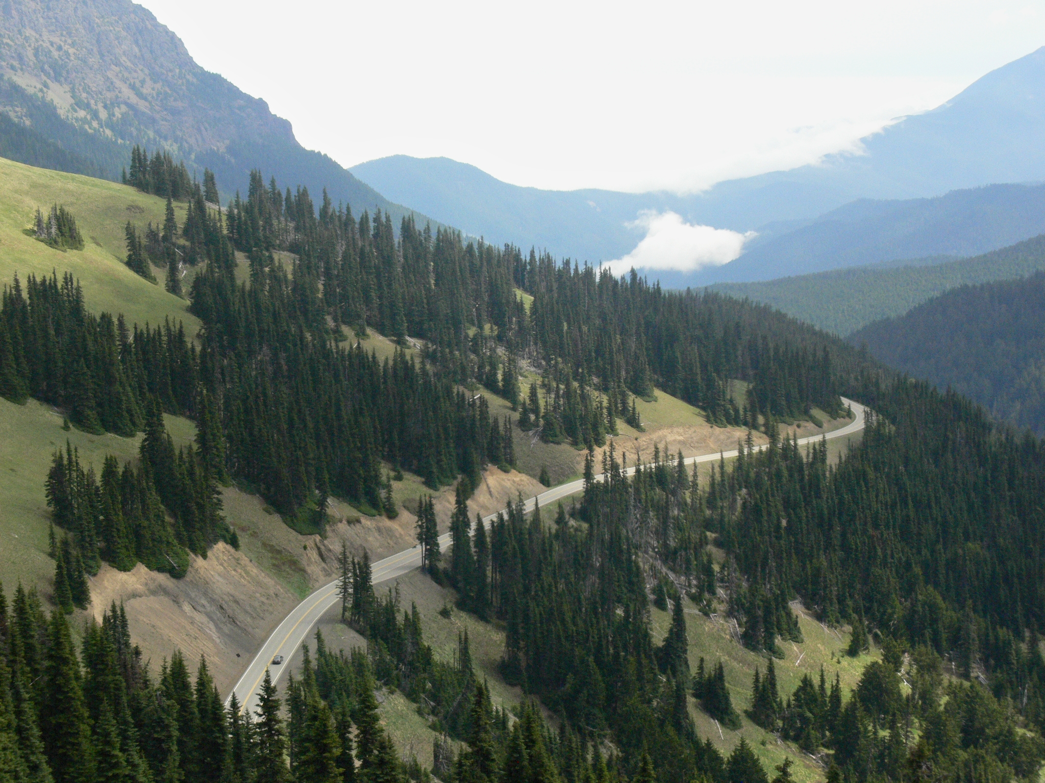 Winding mountain road descending through trees